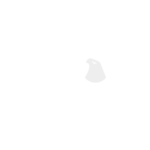 Logo Akademii Piłkarskiej KS Orzeł Barcząca